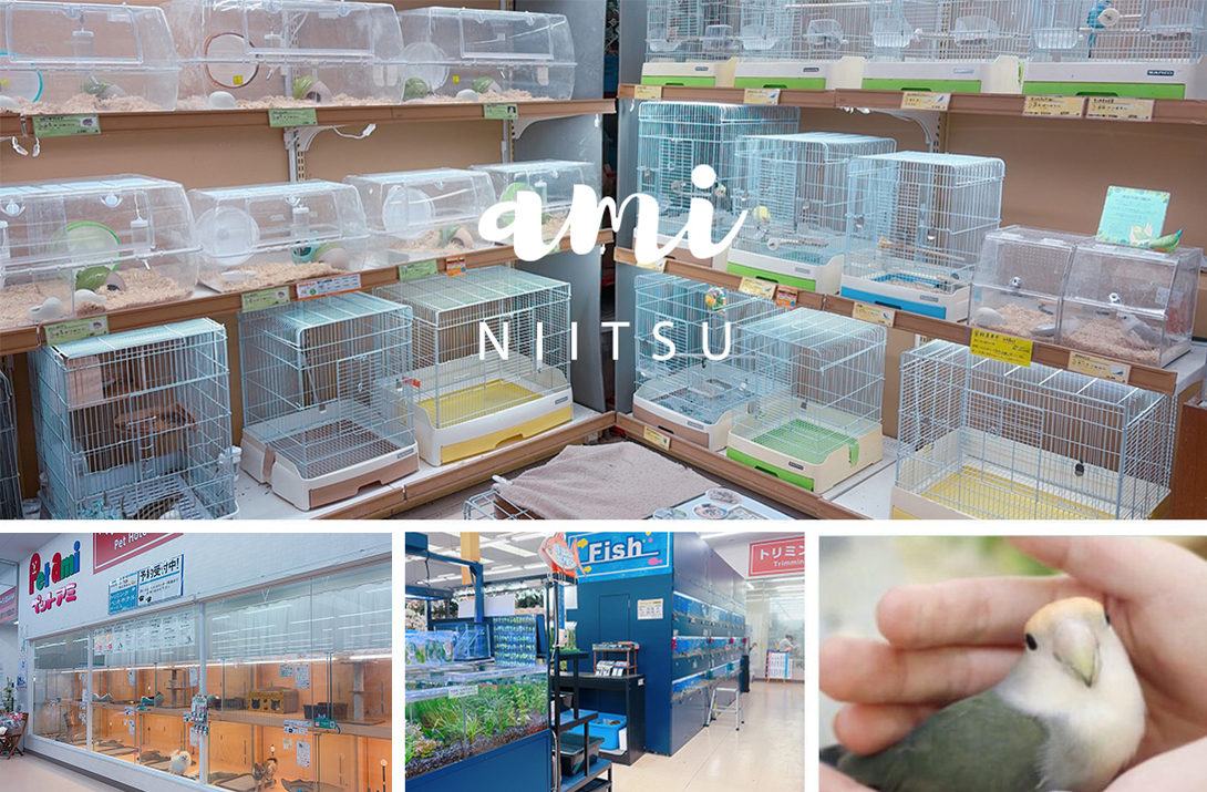 ペットアミ 新津店