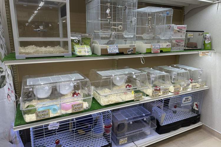 ペットアミ 紀の川店