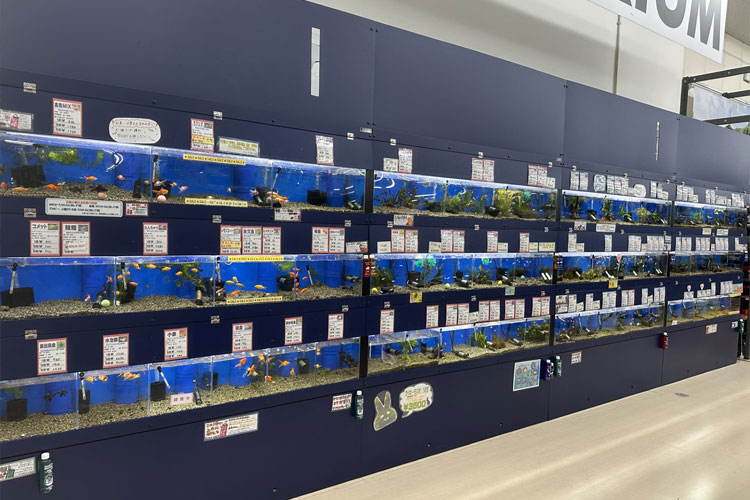 ペットアミ 紀の川店
