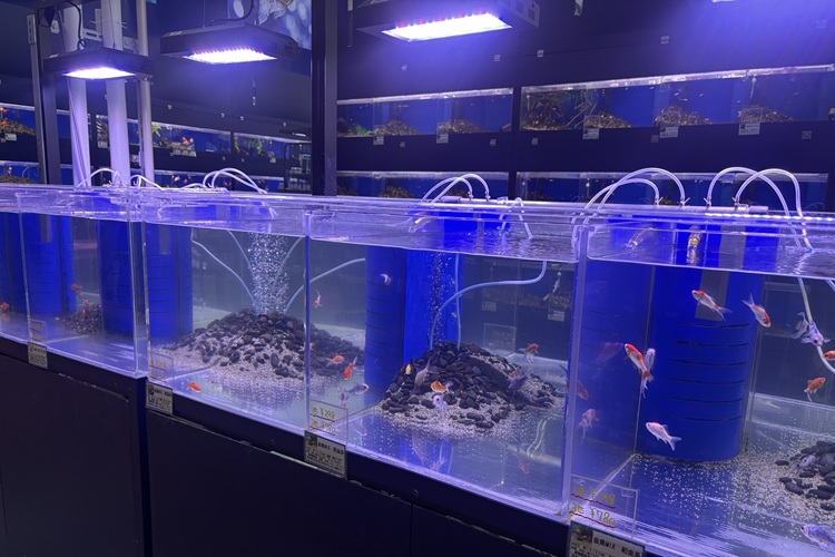ペットアミ河渡店