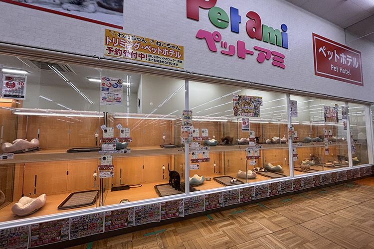 ペットアミ河渡店