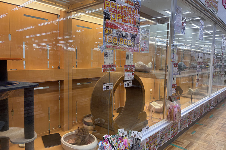 ペットアミ河渡店