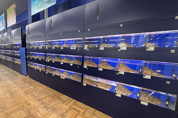 ペットアミ河渡店