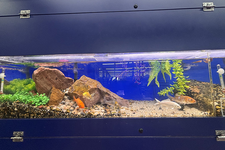 ペットアミ河渡店