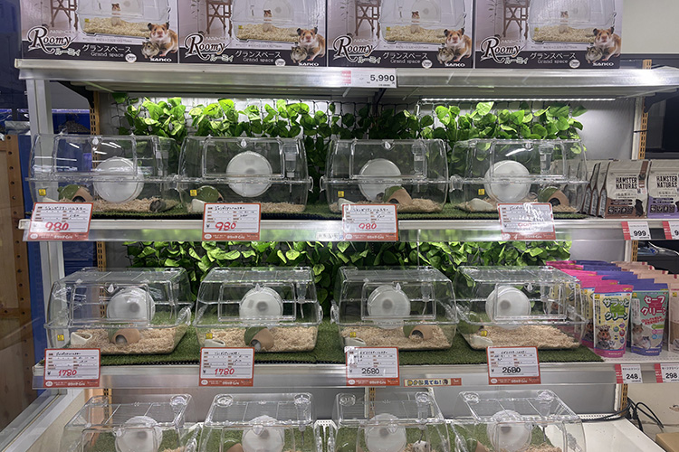 ペットアミ河渡店