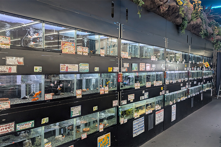 ビバペッツ 和泉中央店