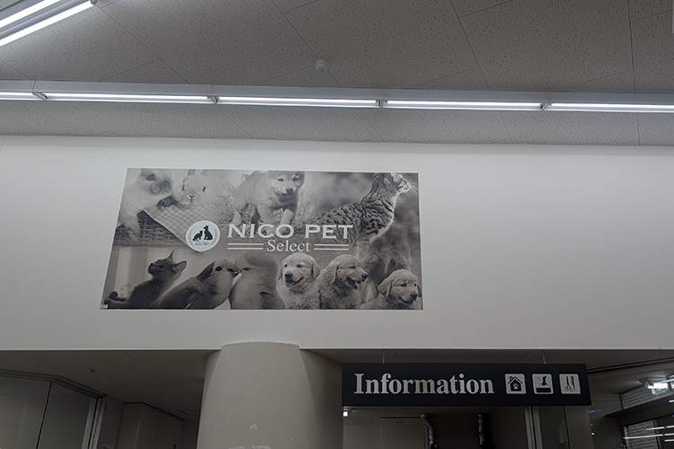 ビバペッツ 和泉中央店