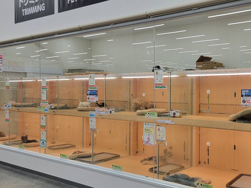 ペットアミ横手インター店