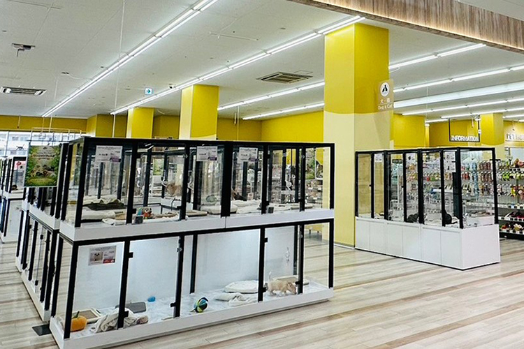 NICO PET さいたま新都心店の店舗写真