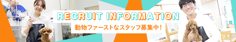 RECRUIT INFORMATION