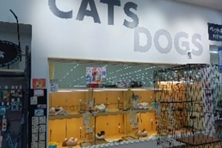 ペットアミ 紀の川店