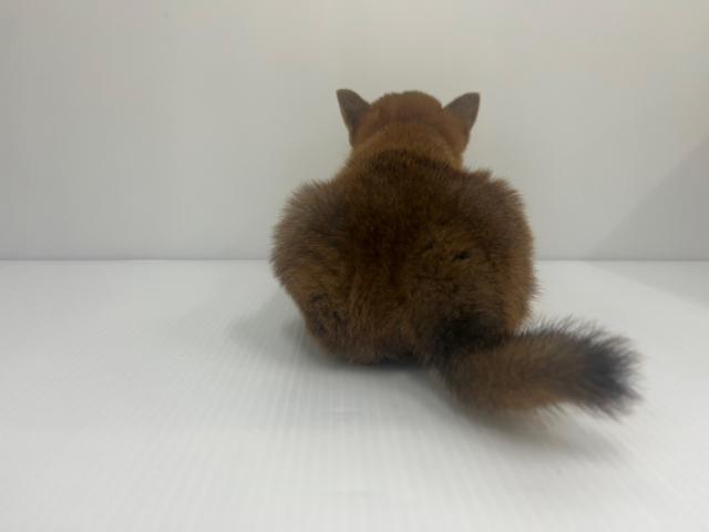 柴犬