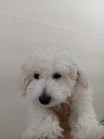 MIX