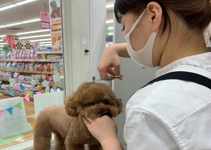 ビバペッツ さいたま新都心店