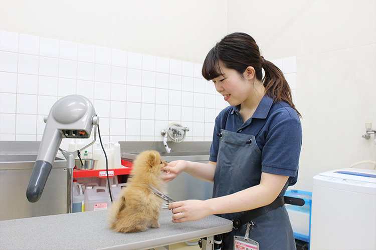 ペットアミ 花巻店