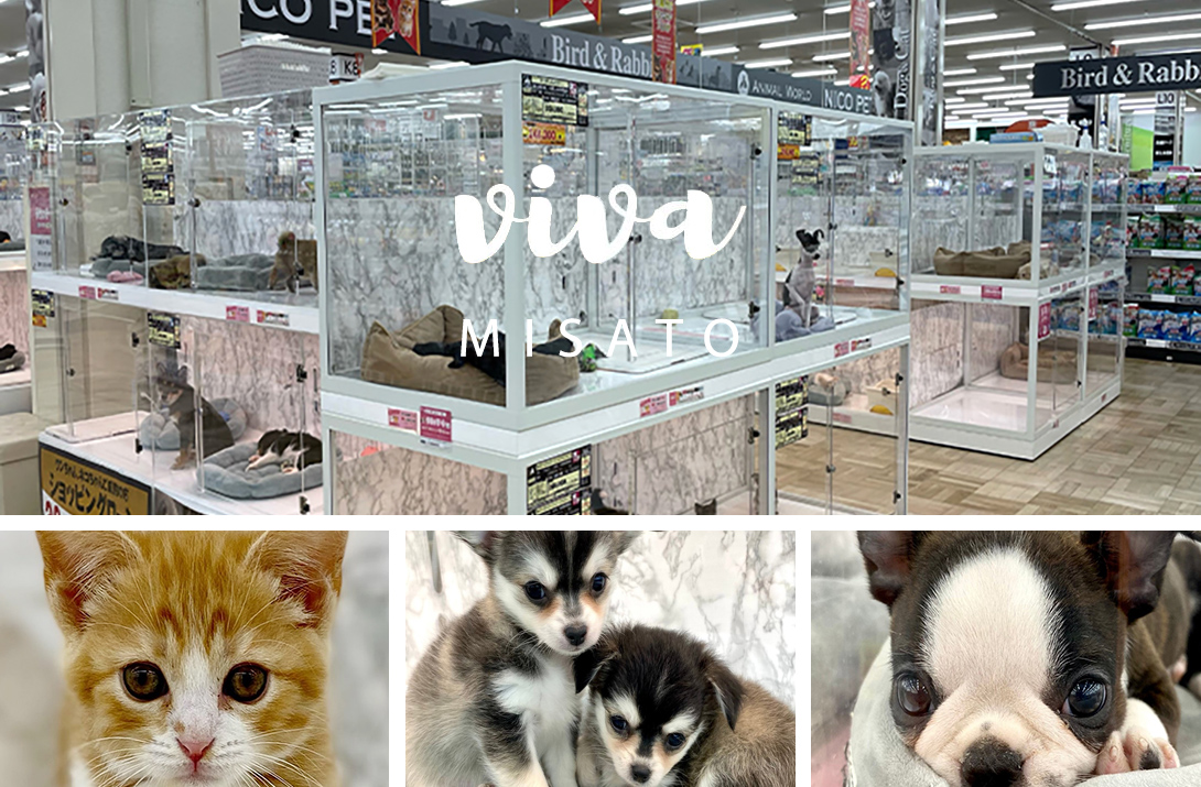 NICO PET 三郷店