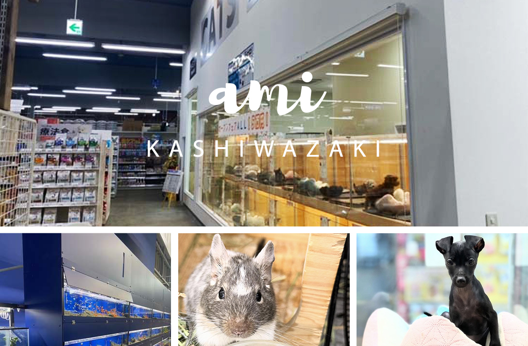 ペットアミ 柏崎店