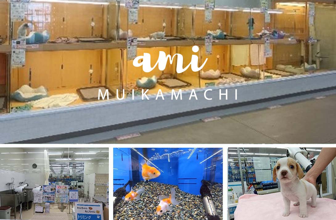 ペットアミ 六日町店