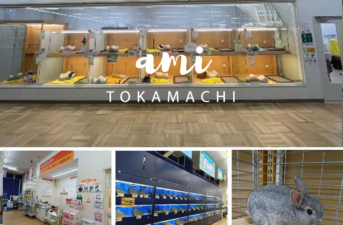 ペットアミ 十日町店