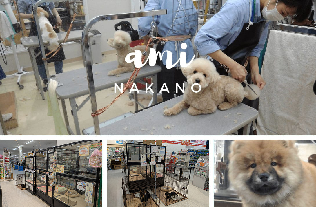 ペットアミ 中野店