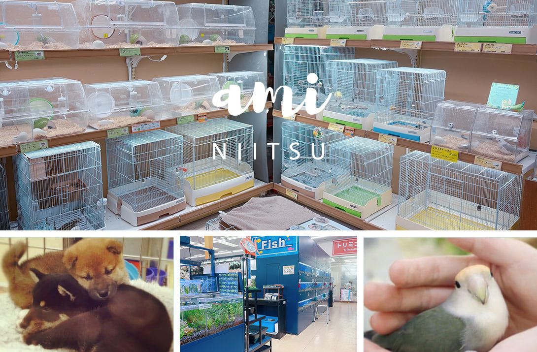 ペットアミ 新津店