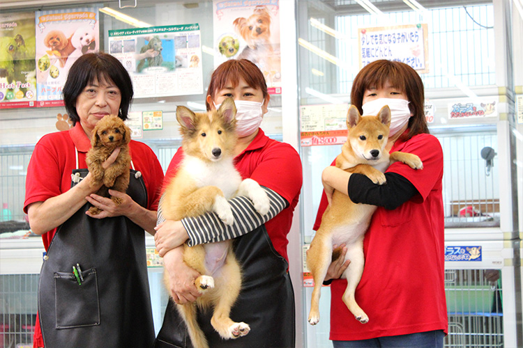 ペットアミ 館山店