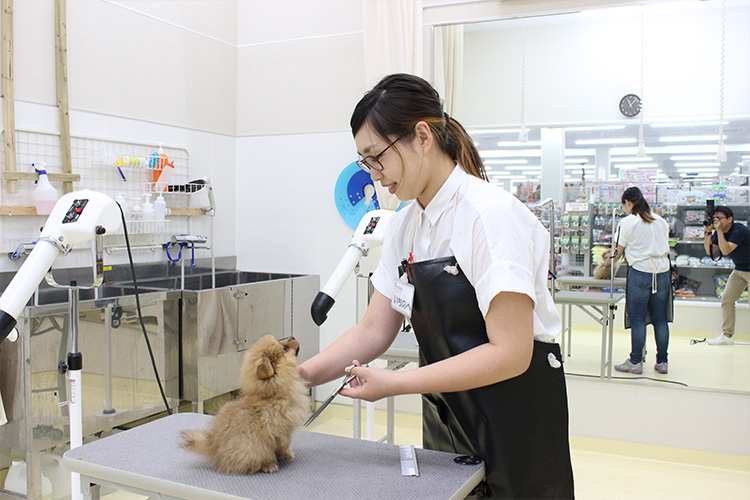 ペットアミ 前橋店