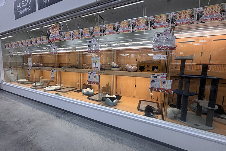 ペットアミ 黒埼店