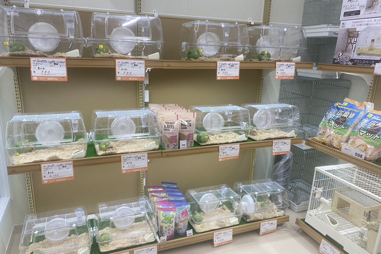 ペットアミ 黒埼店