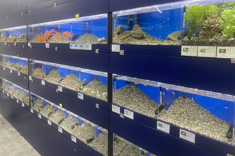 ペットアミ 黒埼店