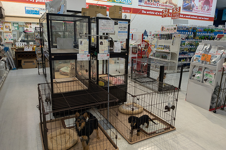 ペットアミ 中野店