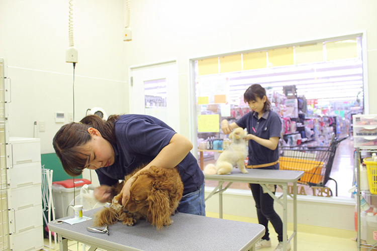 ペットアミ 田原本店