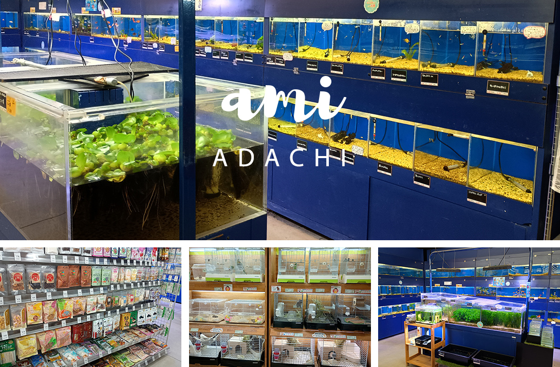 ペットアミ 安達店